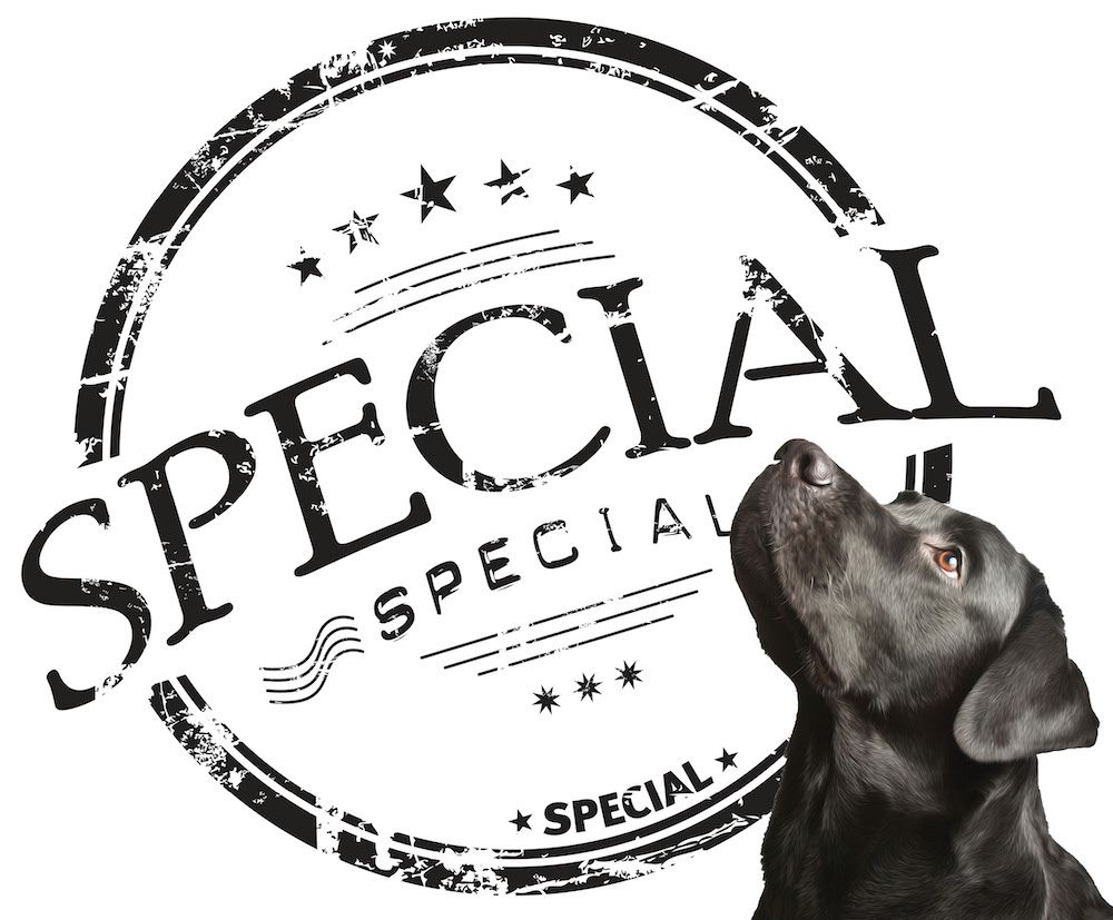 Where's the "Special" in "Specialty"?